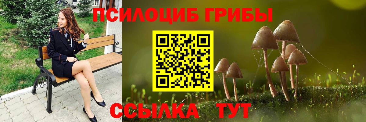 как найти наркотики  Псилоцибиновые грибы Psilocybe  Топки  Вход с VPN  Галлюциногенные грибы ЛСД 
