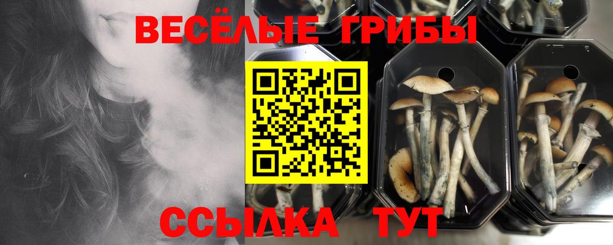 Галлюциногенные грибы MAGIC MUSHROOMS Топки